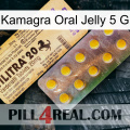 Kamagra Oral Jelly 5Gm new06